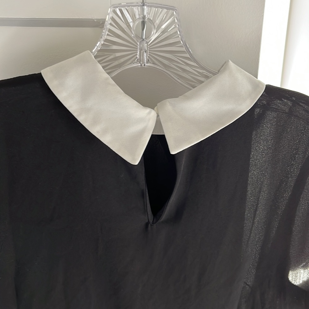 Collared Shirt - Picture 5 of 8